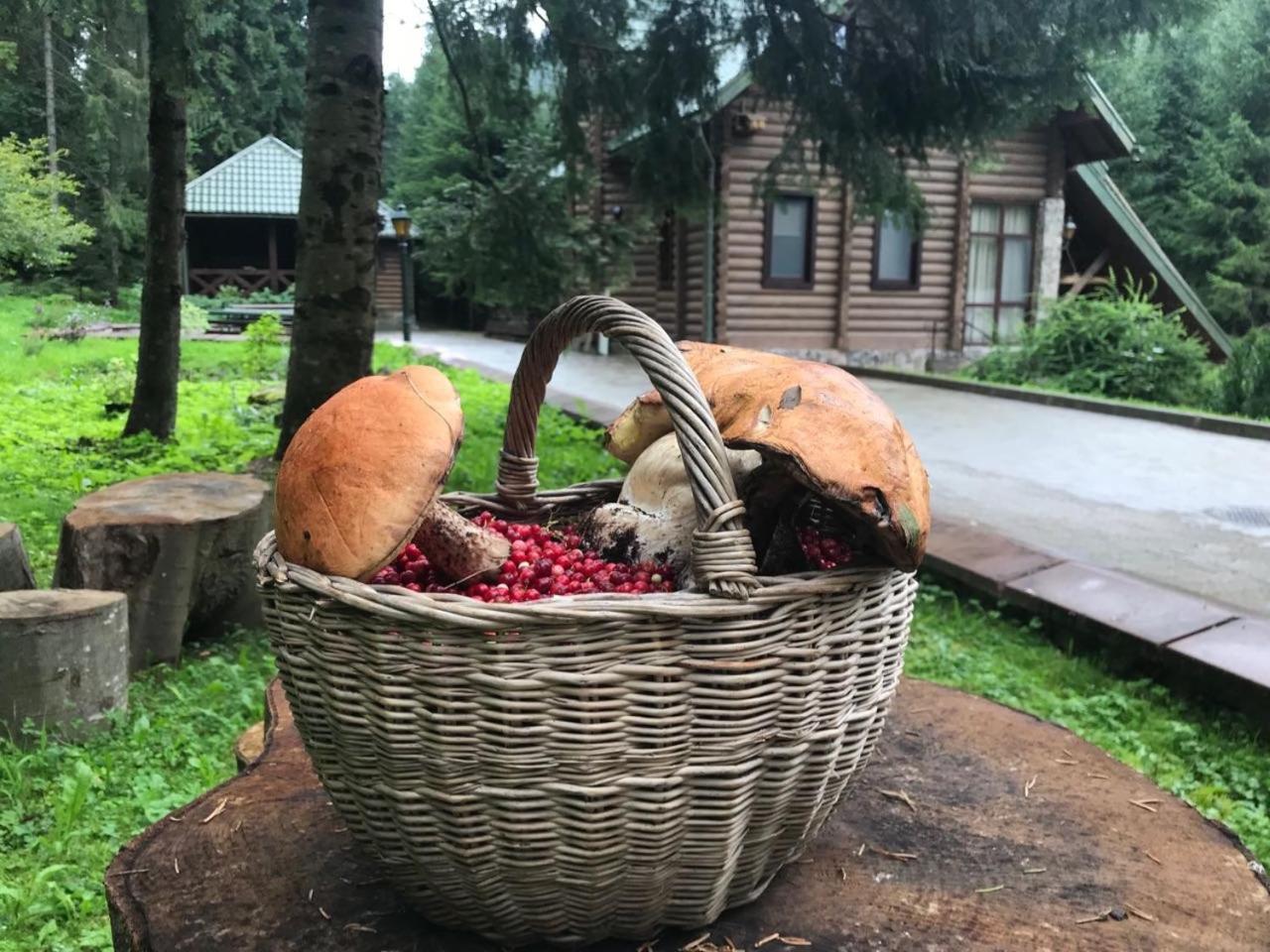 Лісовий Маєток Slavske Exterior photo